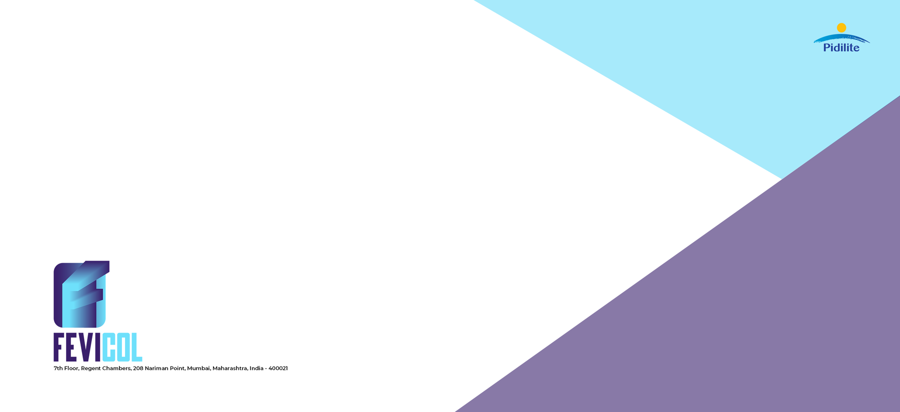 Fevicol Rebrand Envelope