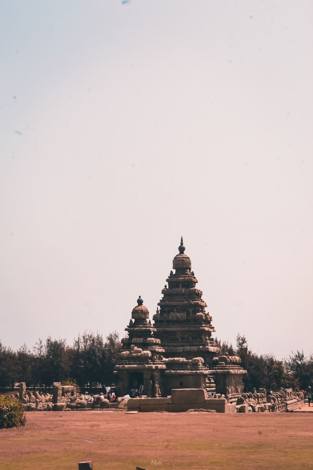 Shore Temple, Wide