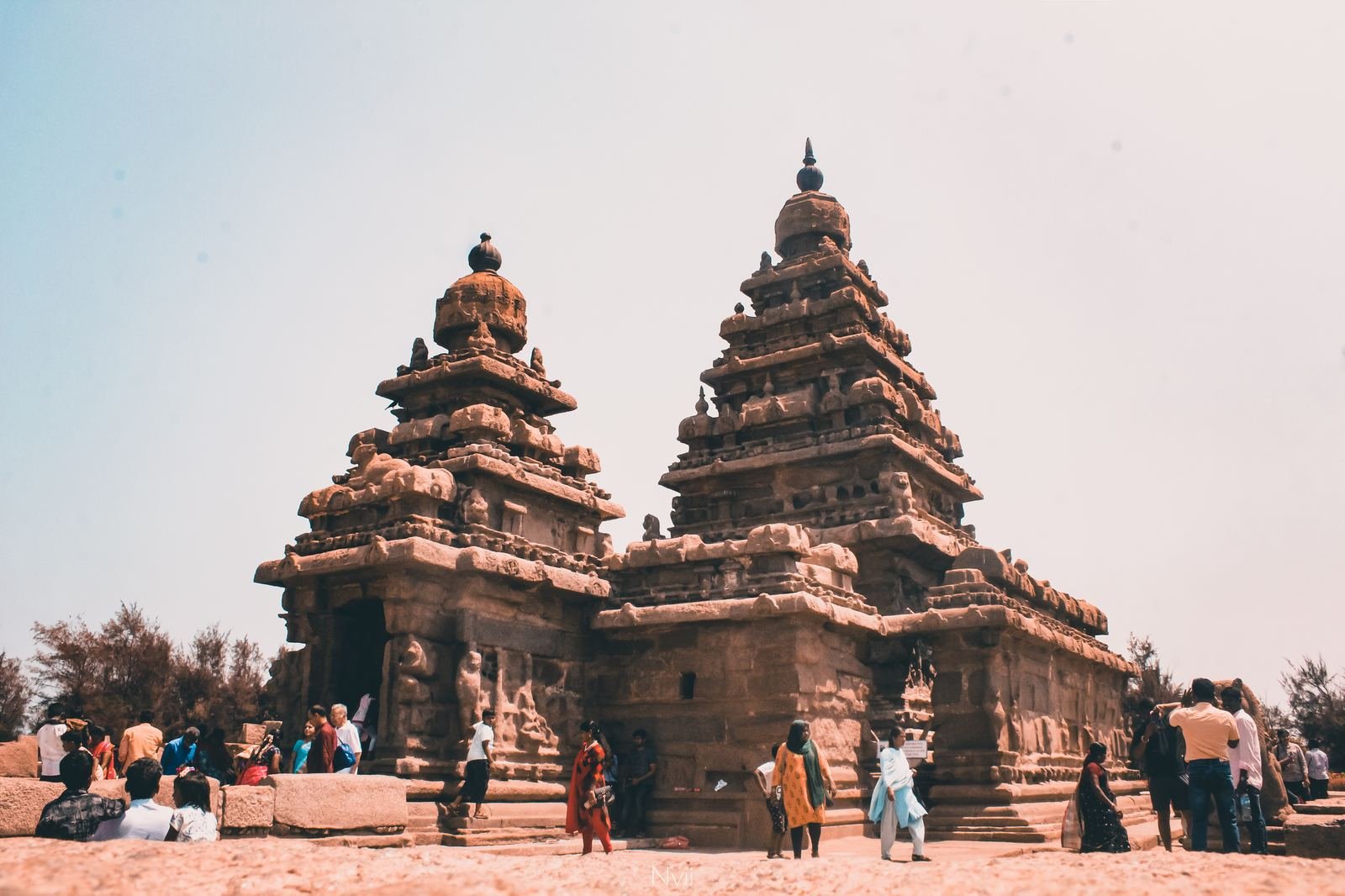 Shore Temple Crowd