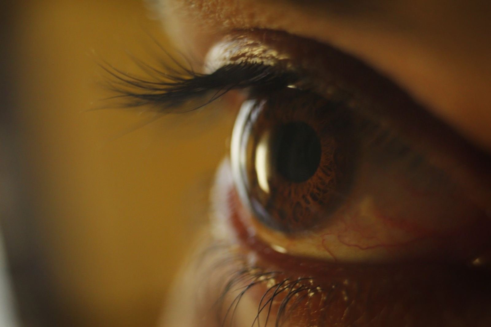 Iris Close-Up