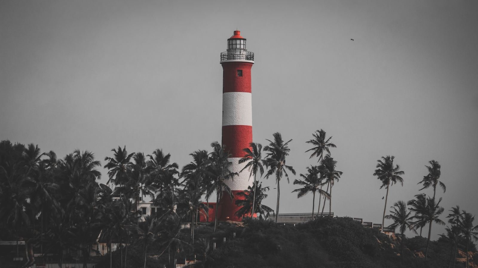 Lighthouse Among Palms