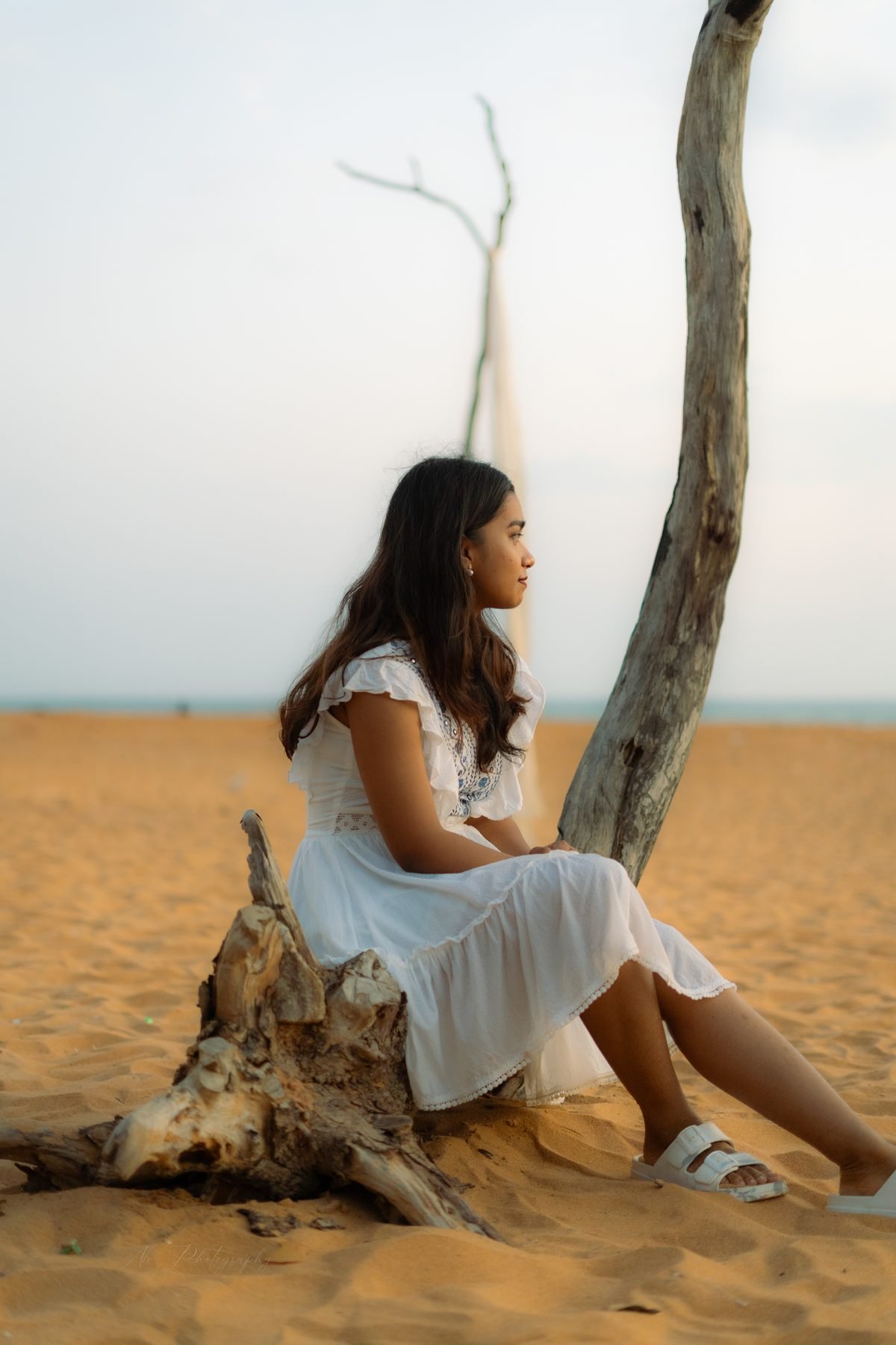 Driftwood Rest