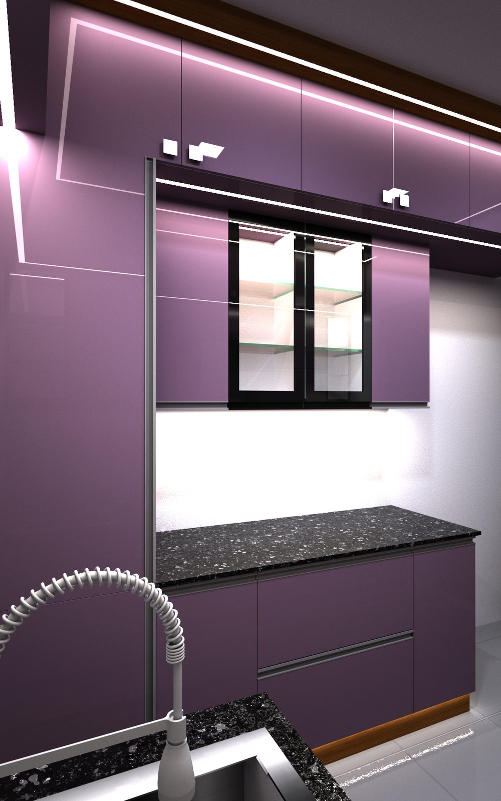 Kitchen Loft & Glass Cabinet
